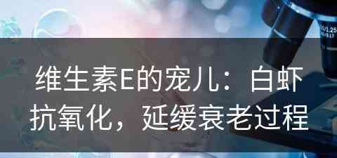 维生素E的宠儿:白虾抗氧化,延缓衰老过程 维生素E的宠儿:白虾抗氧化,延缓衰老过程